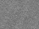 key visualization for L1_ts_002