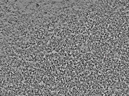 key visualization for L1_ts_002