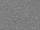 key visualization for L1_ts_002