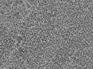 key visualization for L1_ts_003