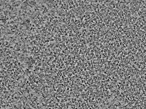 key visualization for L1_ts_003