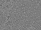 key visualization for L1_ts_003