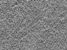 key visualization for L5_ts_003