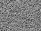 key visualization for L5_ts_003