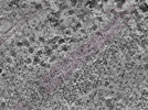 key visualization for L6_ts_002