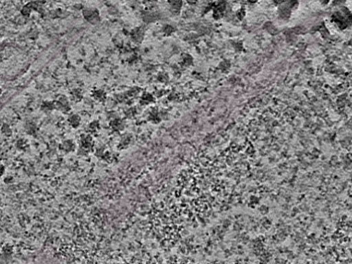 key visualization for L6_ts_002