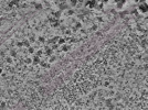 key visualization for L6_ts_002