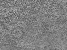 key visualization for L6_ts_006