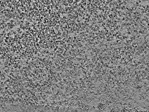 key visualization for L6_ts_006