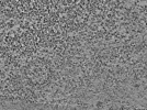 key visualization for L6_ts_006