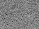 key visualization for L7_ts_002