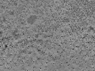 key visualization for L7_ts_002