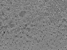 key visualization for L7_ts_002