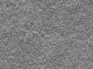 key visualization for L7_ts_003