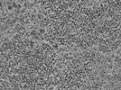 key visualization for L7_ts_003
