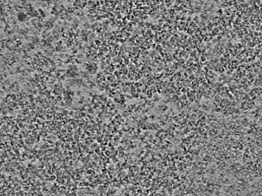 key visualization for L7_ts_003