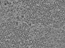 key visualization for L7_ts_003