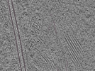 key visualization for L7_ts_007