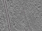 key visualization for L7_ts_007
