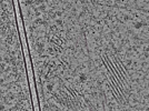 key visualization for L7_ts_007