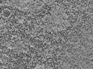 key visualization for L8_ts_002