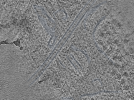 key visualization for Cryo-FIB-milled NIH/3T3 mouse fibroblasts (dataset 4)