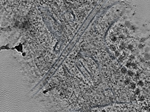 key visualization for L2_ts_002