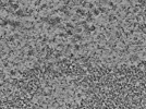 key visualization for L2_ts_004