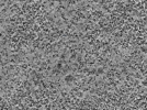 key visualization for L2_ts_005