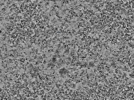 key visualization for L2_ts_005