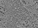 key visualization for L4_ts_002