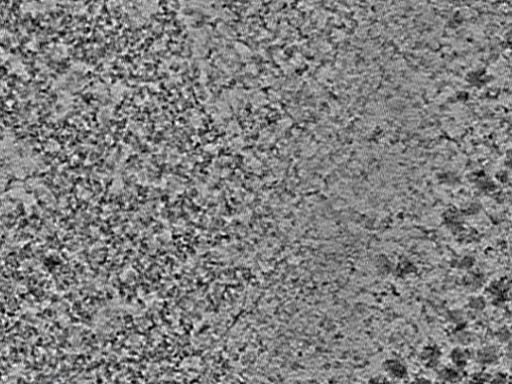 key visualization for L4_ts_004