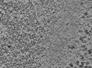 key visualization for L4_ts_004
