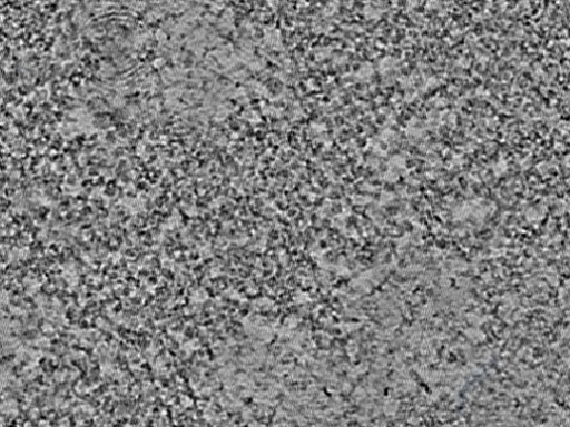 key visualization for L4_ts_005