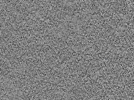key visualization for L5_ts_006