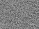 key visualization for L5_ts_006