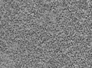 key visualization for L5_ts_006