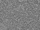 key visualization for L5_ts_006