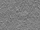key visualization for L5_ts_007