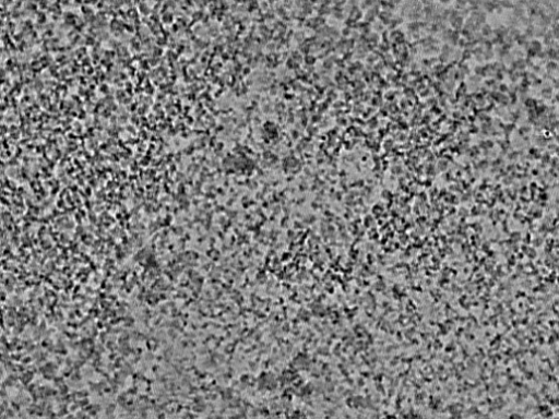key visualization for L5_ts_007