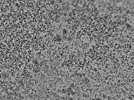 key visualization for L5_ts_007