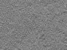 key visualization for L5_ts_009