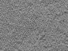 key visualization for L5_ts_009
