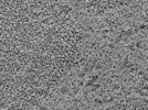 key visualization for L5_ts_009