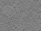 key visualization for L5_ts_010