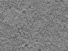 key visualization for L5_ts_010