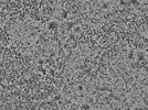 key visualization for L5_ts_010
