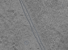 key visualization for L10_ts_002