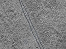 key visualization for L10_ts_002