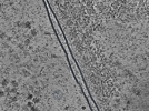 key visualization for L10_ts_002